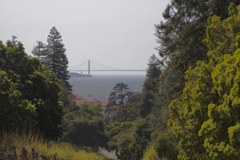 313-6438 Golden Gate From Berkeley.jpg